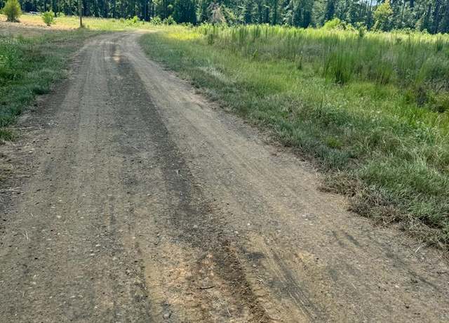 Property at R28429(Lot13) Private Road 7700, San Augustine, TX 75972