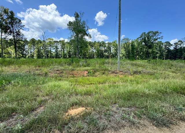 Property at R28429(Lot14) Private Road 7700, San Augustine, TX 75972