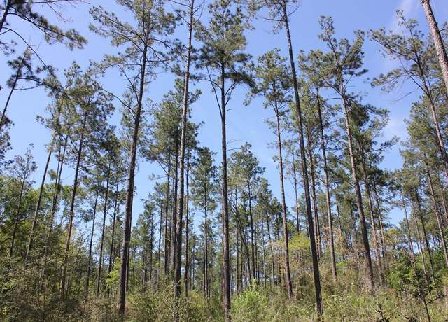 Property at PID 36982 Hwy 103w, Lufkin, TX 75904