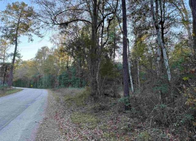 Property at AB 799 TR 15 Cr 443, Kirbyville, TX 75956