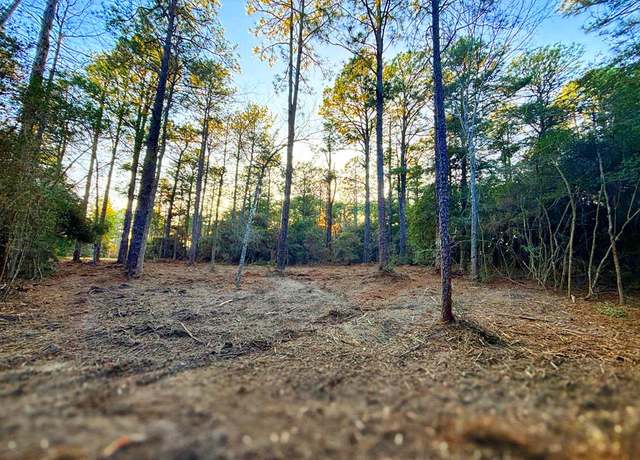 Property at PID #34570 Sago Ct, Brookeland, TX 75931