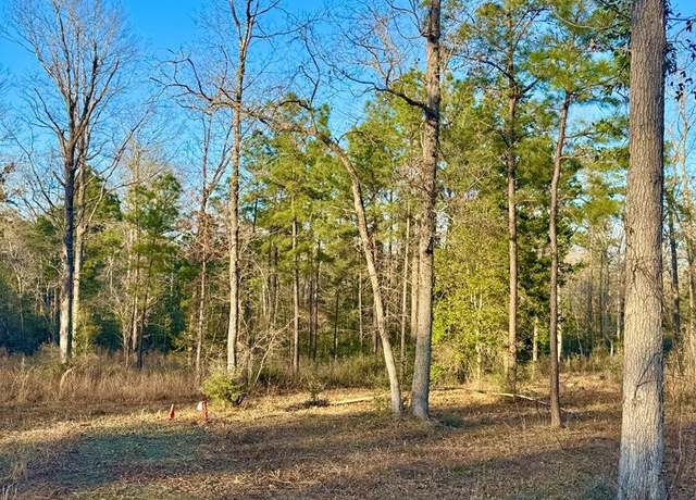 Property at 2165 Dorsey Rd, Hemphill, TX 75948