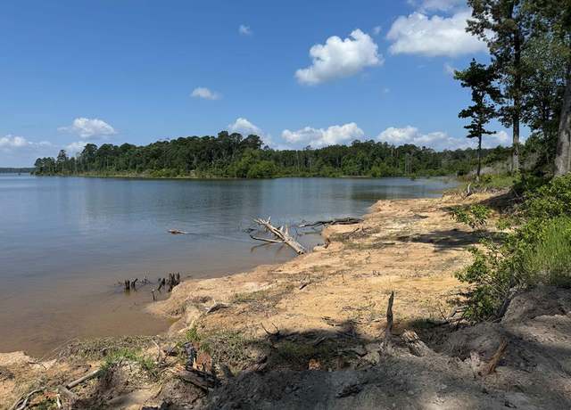 Property at 014 Pr 000, Pineland, TX 75968