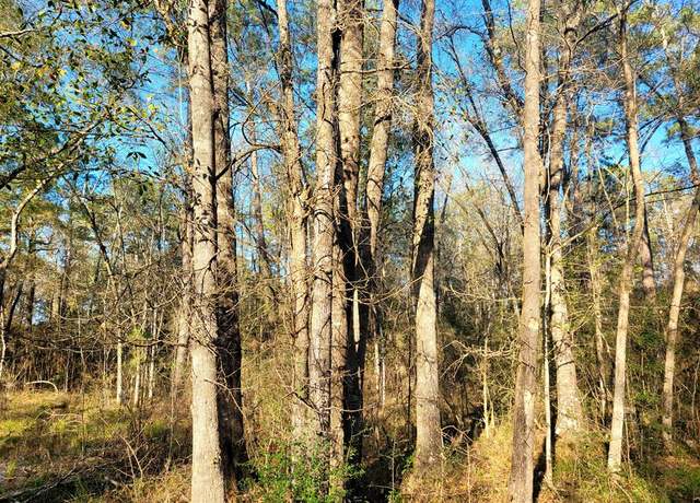 Property at PID# 36299 County Road 828, Vidor, TX 77662