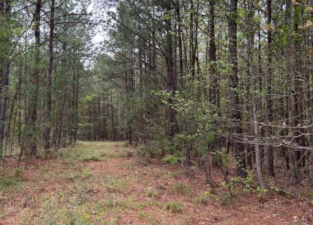 Property at R12357 -Lot 102 Fm 705, Broaddus, TX 75929