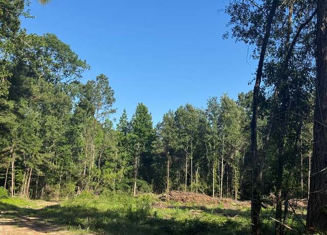 Property at R37357 tract 3 Highway 69, Zavalla, TX 75980