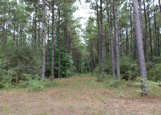 Property at PID 69934 TR1 Duff Rd, Livingston, TX 77351