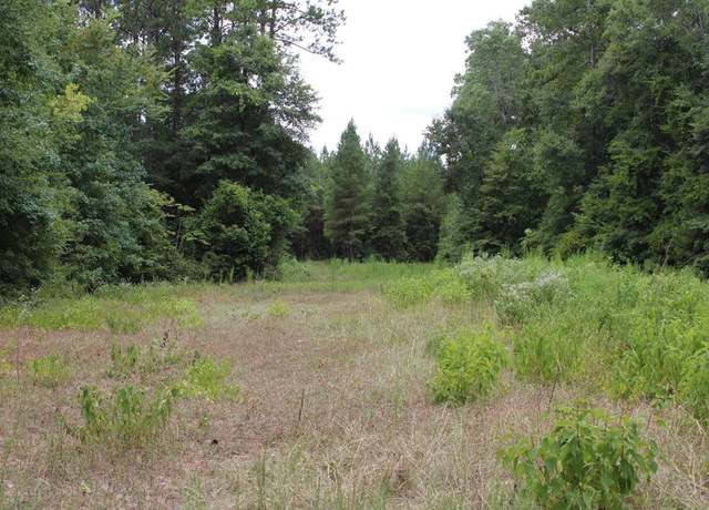 Property at PID 69934 TR2 Duff Rd, Livingston, TX 77351