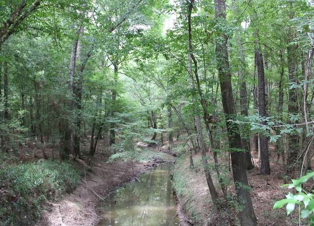 Property at PID 69934 TR3 Duff Rd, Livingston, TX 77351