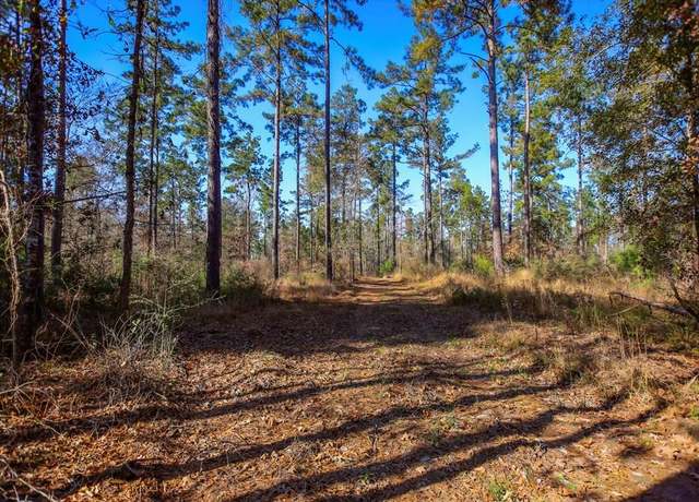 Property at 12 Acres Whitehead Rd, Lufkin, TX 75901