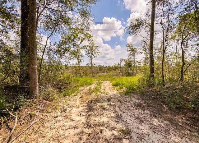 Property at R53358 Tract 1 Hwy 94, Apple Springs, TX 75926