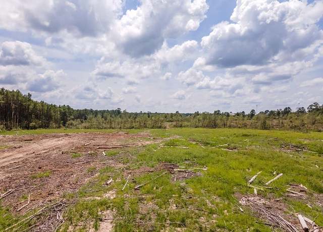 Property at R53358  Tract 2 Hwy 94, Apple Springs, TX 75926