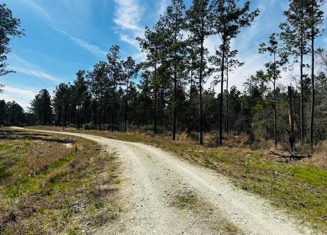 Property at 5-6 Laird Lane Fm 357, Apple Springs, TX 75926