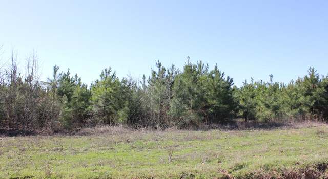 Photo of PID 7331 Phillips Rd, Garrison, TX 75946