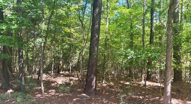 Photo of Lot 1 &2 Pine St, Broaddus, TX 75929