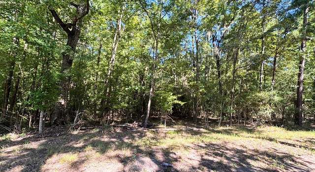 Photo of Lot 1 &2 Pine St, Broaddus, TX 75929