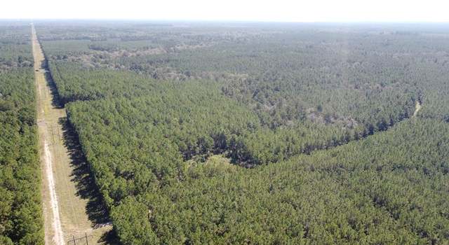 Photo of 14505 Fm 1751, Bronson, TX 75930