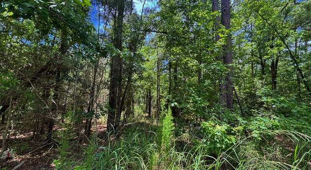 Photo of 34794 Tapioca Ln, Brookeland, TX 75931