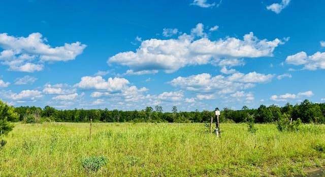 Photo of 259 County Divide Rd, Bronson, TX 75930