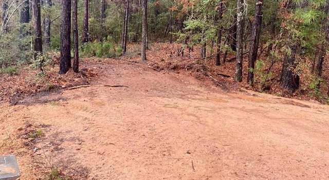 Photo of 663 Marion Ferry Rd, Huntington, TX 75949