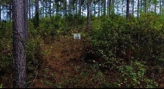 Photo of Lot 92 Cr 1095, Center, TX 75935