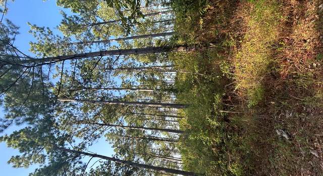 Photo of Lot 92 Cr 1095, Center, TX 75935