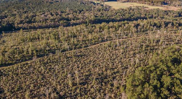 Photo of 12964 County Road 1027, Newton, TX 75966