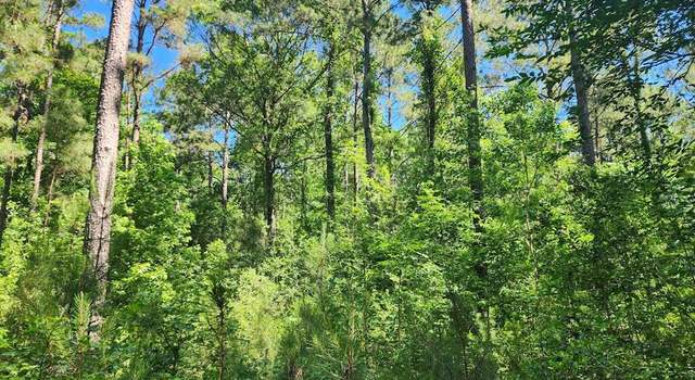Photo of Lot 2 (3 acres) Cypress Knl, TX 75949