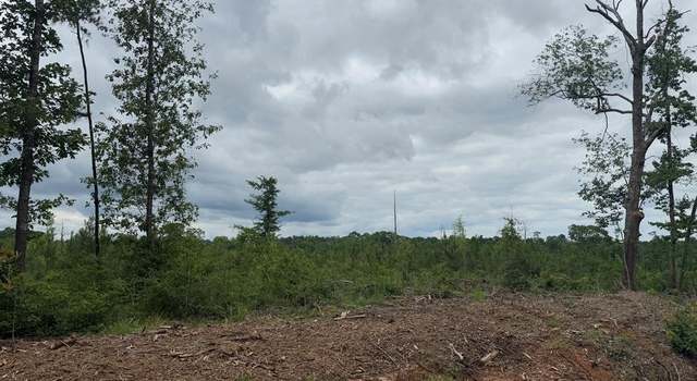 Photo of TBD Fm 777, Jasper, TX 75951
