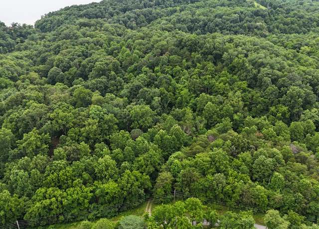 Property at 5 Lots Fortunato Dr, Baneberry, TN 37890