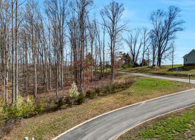 Property at Lot 133 Saddleback Ridge Rd, Rutledge, TN 37861