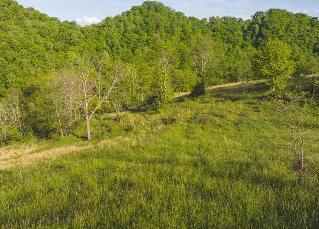 Property at Lots 9 Big Springs Rd, Eidson, TN 37731