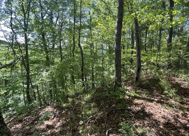 Property at 2720 #1 E Hwy 25 70 Hwy, Del Rio, TN 37727
