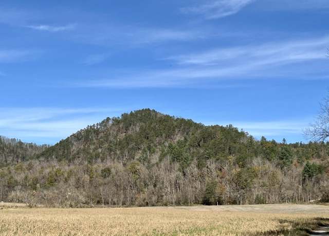 Property at 2720 #3 E 25/70 Hwy, Del Rio, TN 37727