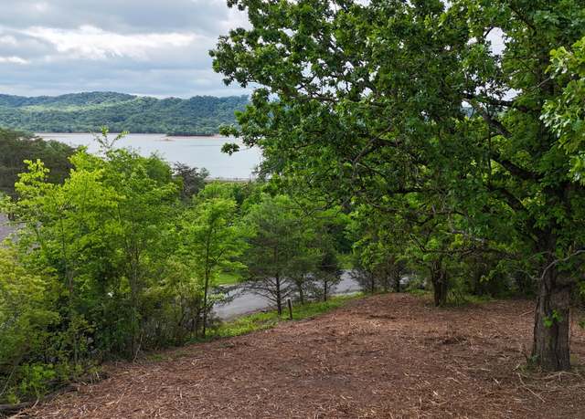 Property at Lots 56/53 Bayside Subdivision, Bean Station, TN 37708