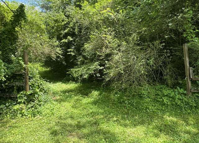 Property at 0 Bogard Rd, Cosby, TN 37722