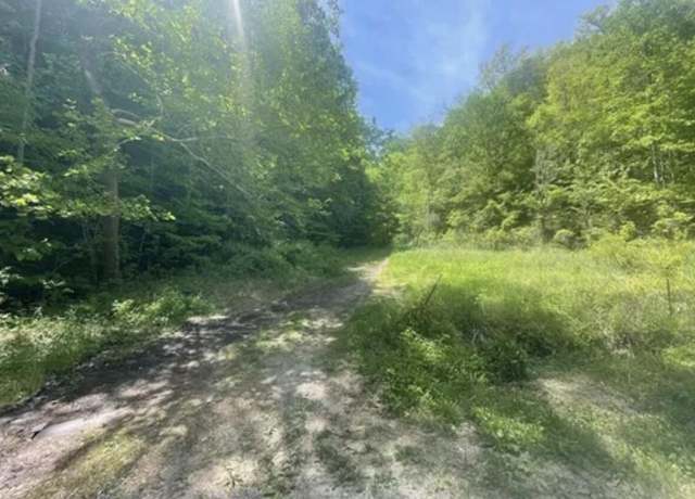 Property at 0 Gaps Chapel Rd, Sneedville, TN 37869