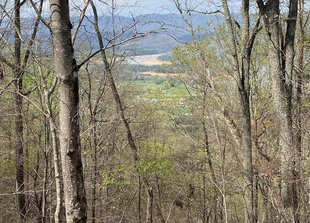 Property at 155 Chelaque Way Way, Mooresburg, TN 37811