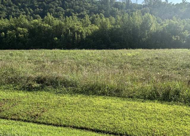 Property at lot 145 River Rapids Way, Del Rio, TN 37727