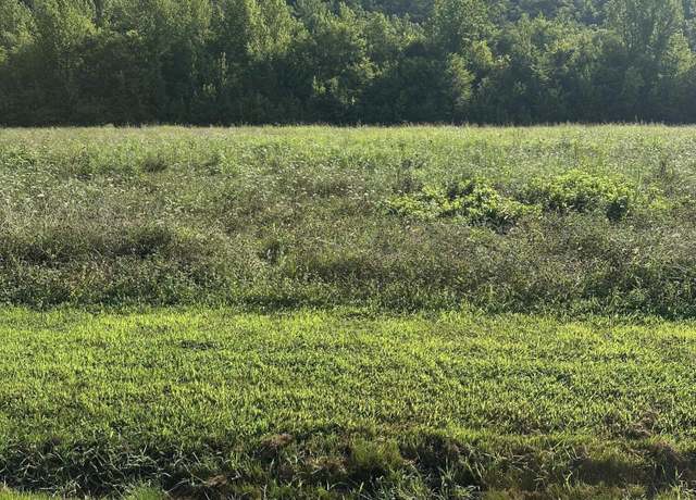 Property at lot 146 River Rapids Way, Del Rio, TN 37727