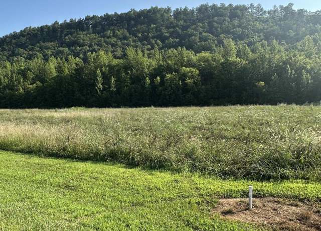 Property at lot 147 River Rapids Way, Del Rio, TN 37727