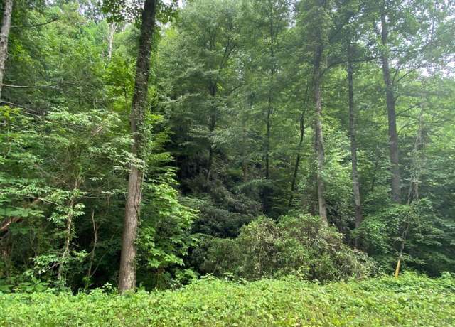 Property at Lot 41 Raven Branch Rd, Del Rio, TN 37727