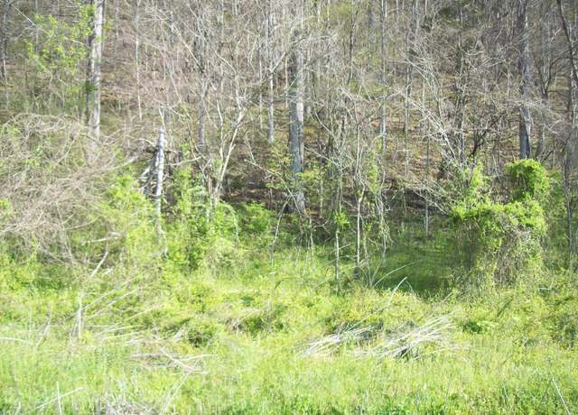 Property at 0 War Creek Rd, Sneedville, TN 37869