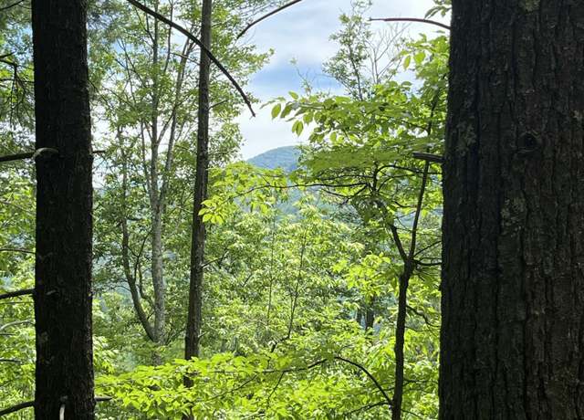 Property at 0 Gulf Rd, Hartford, TN 37753