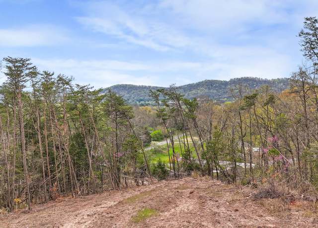 Property at 09 Reed Bull Rd, New Market, TN 37820