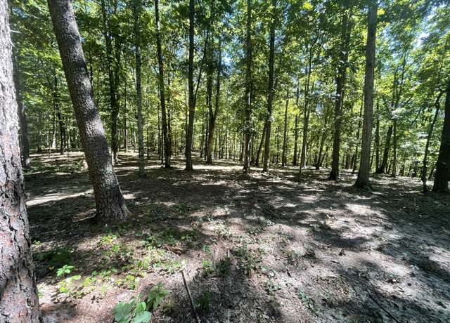 Property at 6.6 Acres Video Way, Newport, TN 37821