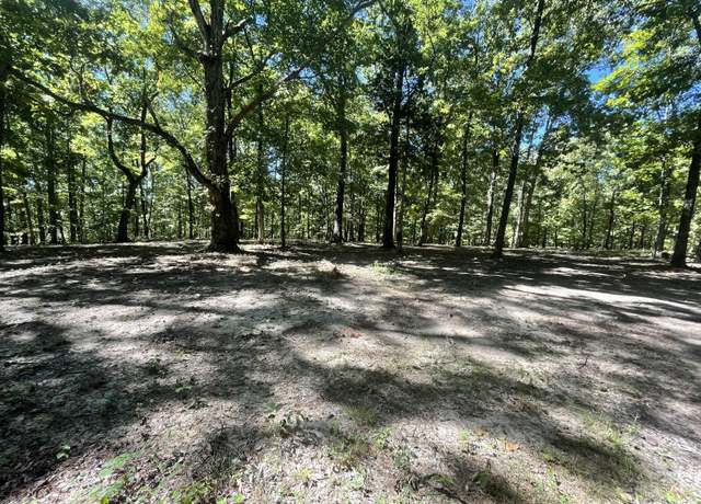 Property at 11.6 Acres Video Way, Newport, TN 37821