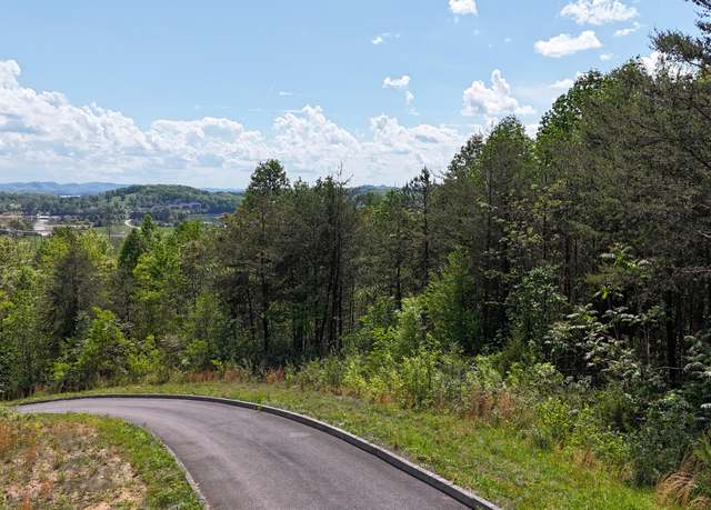 Property at TBD Megans Trl, Bean Station, TN 37708