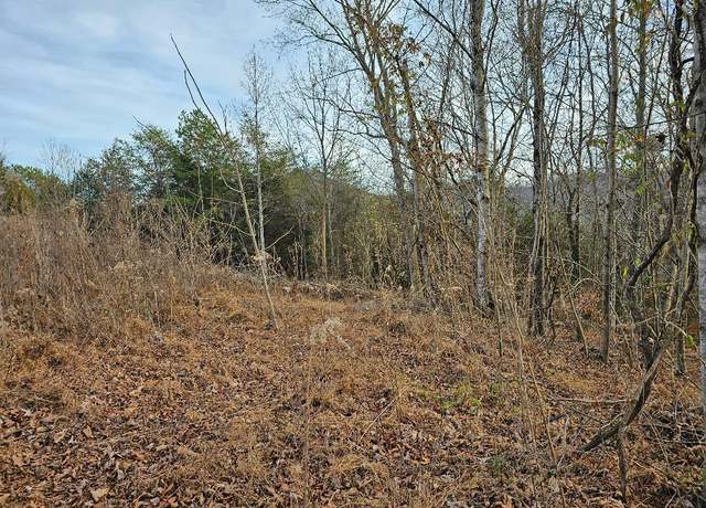 Property at 13.69ac Ward Ln, Washburn, TN 37888