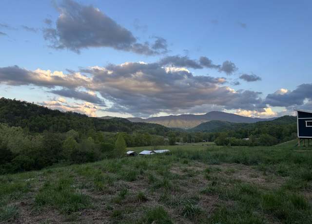 Property at 367 Catnip Rd, Del Rio, TN 37727